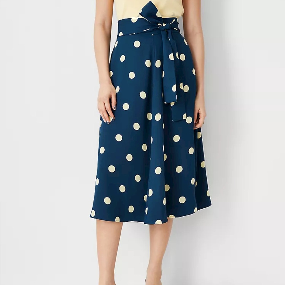 Ann Taylor Polka Dot Skirt